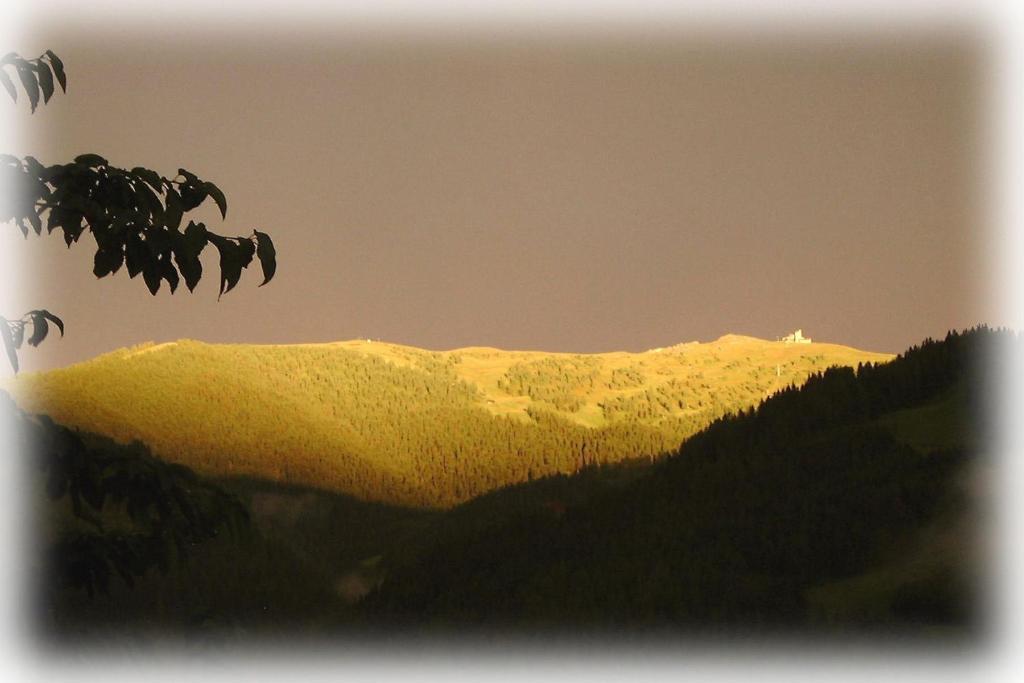 Panoramapension Lerchner Bad Kleinkirchheim Kültér fotó